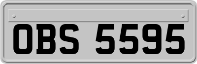OBS5595