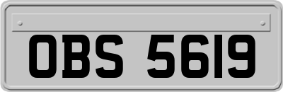 OBS5619