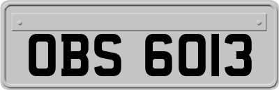 OBS6013