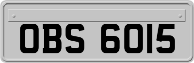 OBS6015
