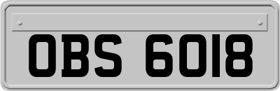 OBS6018