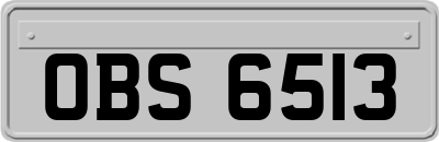OBS6513