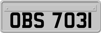 OBS7031