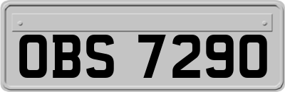 OBS7290