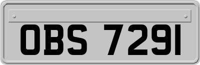 OBS7291