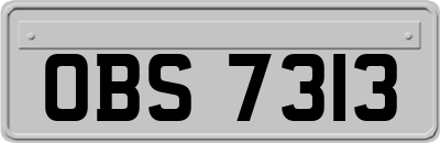 OBS7313