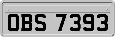 OBS7393