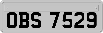 OBS7529