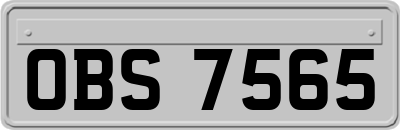 OBS7565