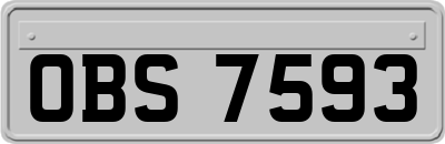 OBS7593