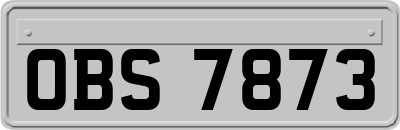 OBS7873