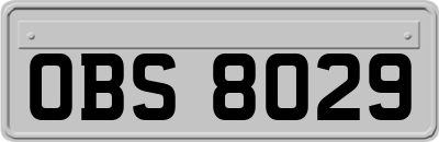 OBS8029