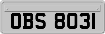 OBS8031