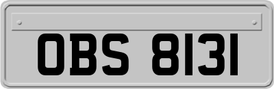 OBS8131