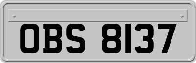 OBS8137