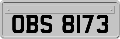 OBS8173