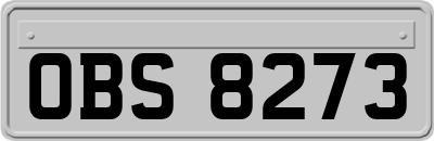 OBS8273