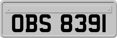 OBS8391