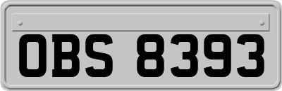 OBS8393