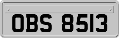 OBS8513