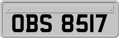 OBS8517
