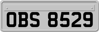 OBS8529