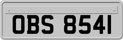 OBS8541