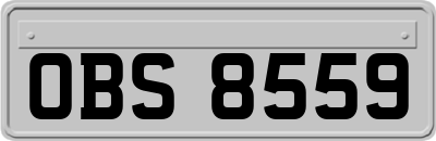 OBS8559