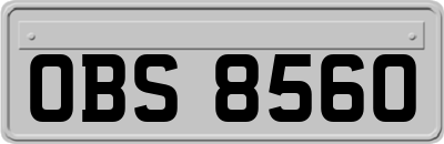OBS8560