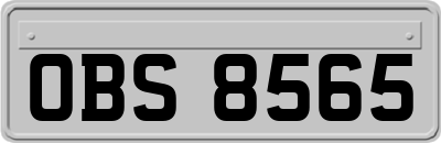 OBS8565