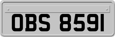 OBS8591