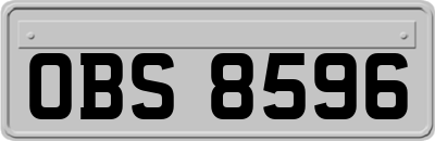 OBS8596