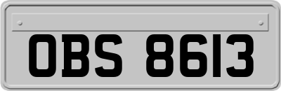 OBS8613