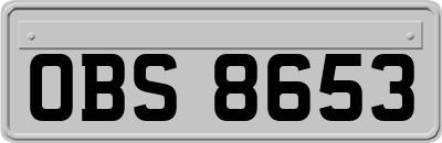 OBS8653