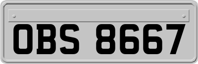 OBS8667