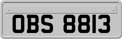 OBS8813