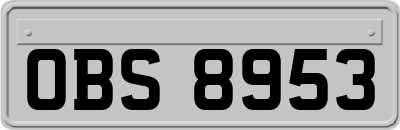 OBS8953