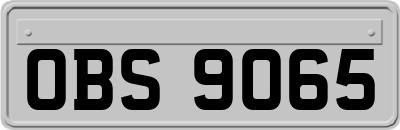 OBS9065