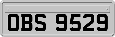 OBS9529
