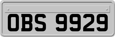 OBS9929