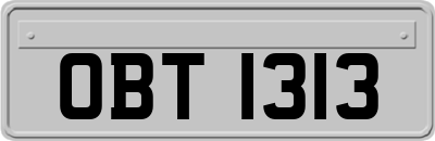 OBT1313