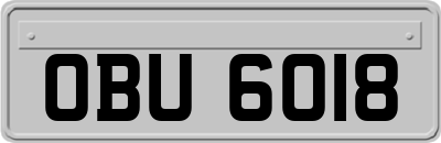 OBU6018