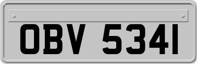OBV5341