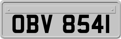 OBV8541