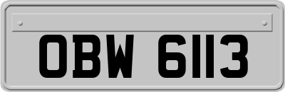 OBW6113