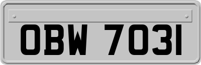 OBW7031