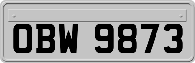 OBW9873
