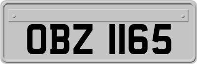 OBZ1165