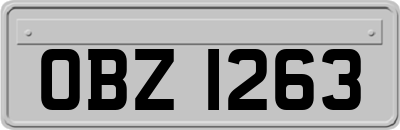 OBZ1263