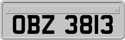 OBZ3813